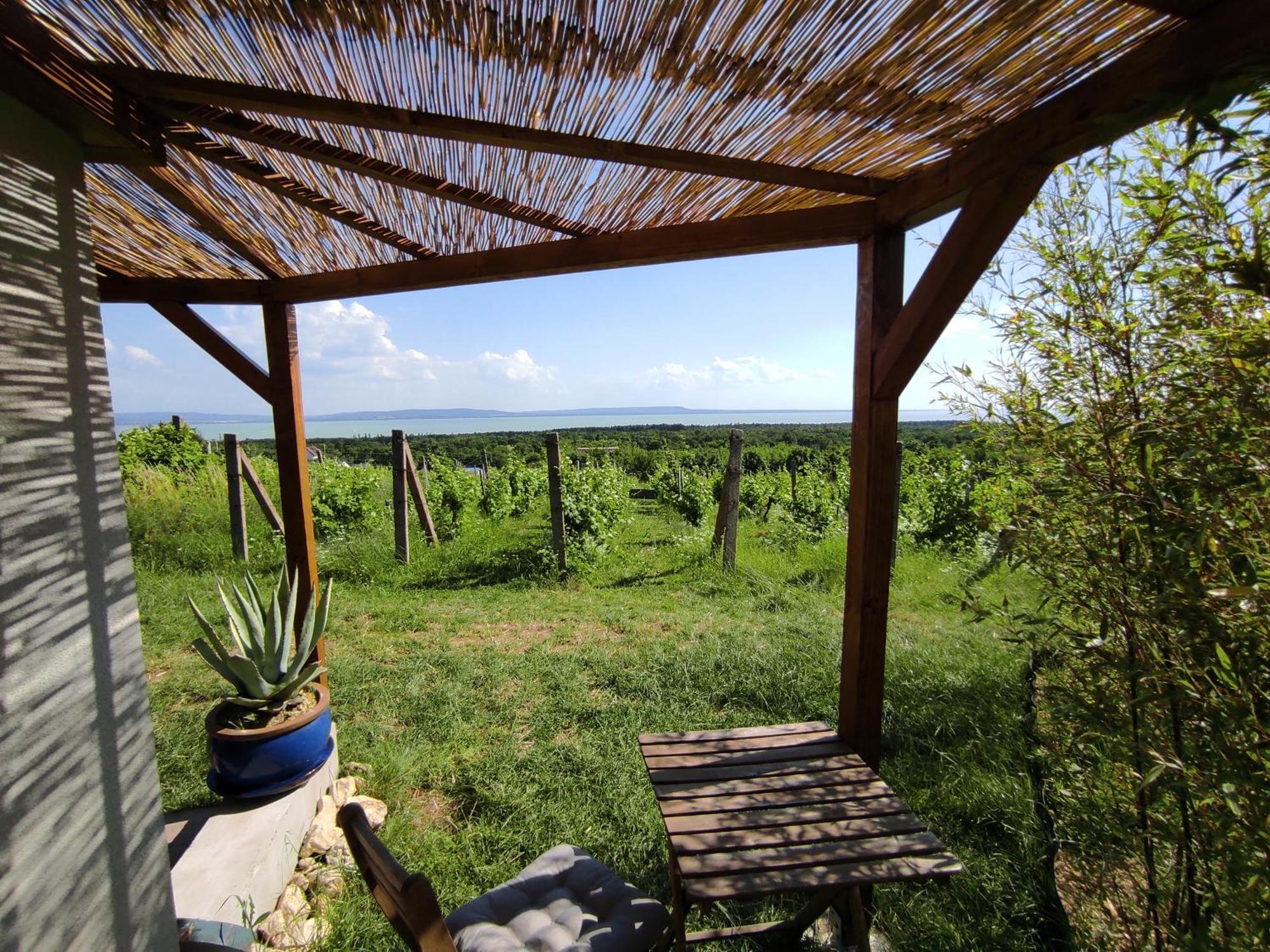 Napraszallas Vendeghaz Balatonakali Exterior photo